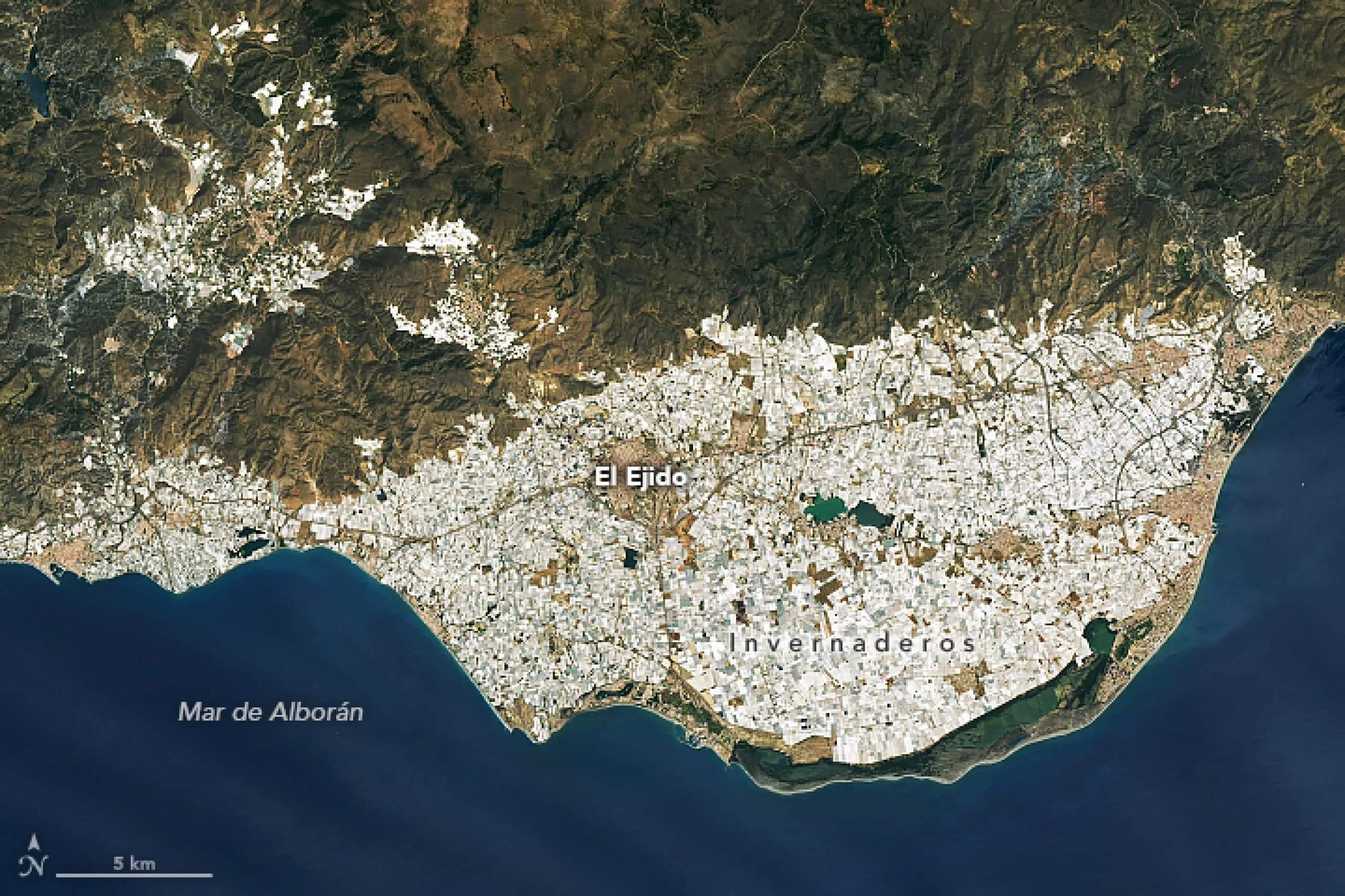 El Ejido - imagen 3
