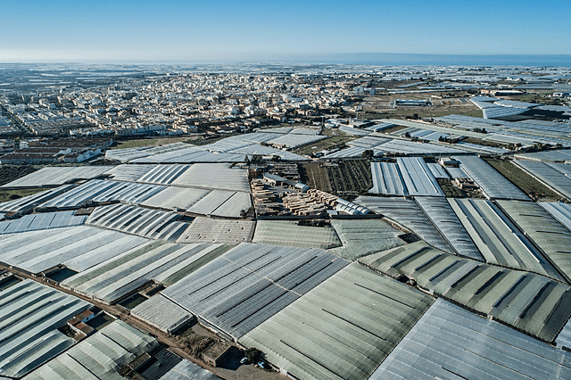 El Ejido - imagen 4